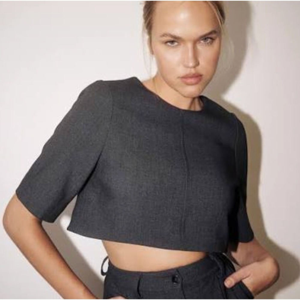 Dissh Carey Cropped Tee in Gray sz 4